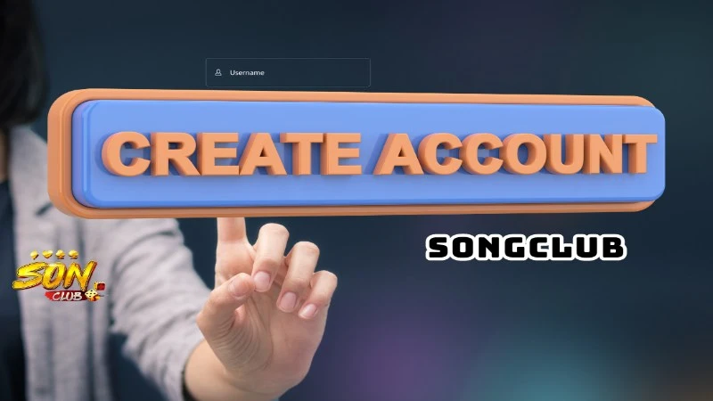 Số lượng tài khoản tại nhà cái